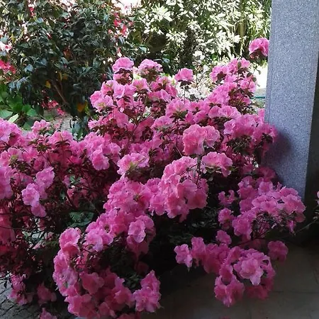 Casa Pinho * São Pedro do Sul