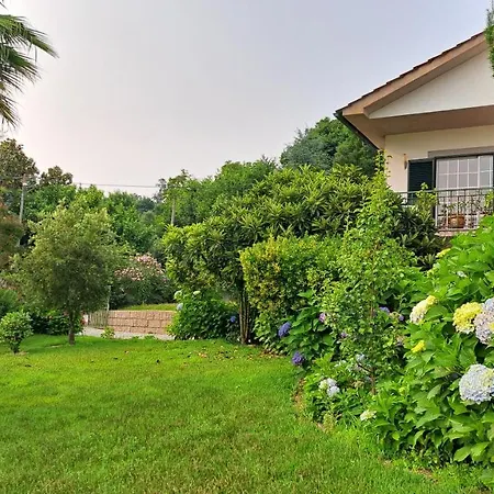 Casa Pinho 乡村民宿