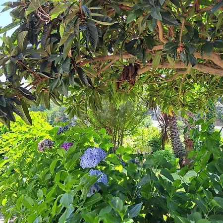 Landhaus Casa Pinho *